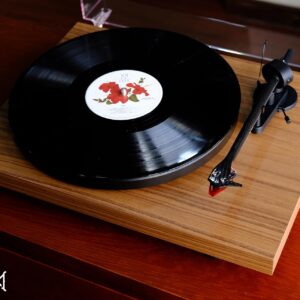 mam-than-pro-ject-debut-carbon-evo-walnut