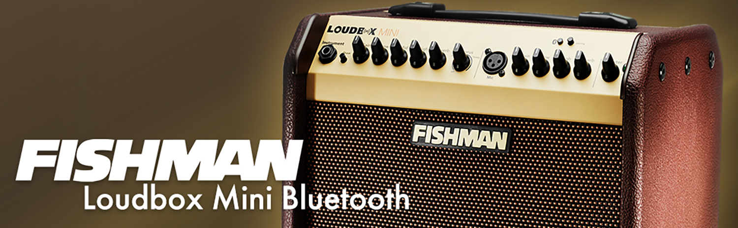 Fishman Loudbox Mini Bluetooth 60W – Acoustic Guitar Amplifier