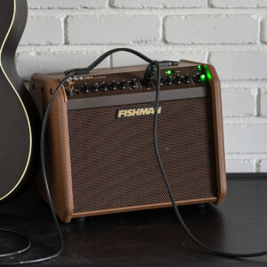 Fishman-Loudbox-Mini-Charge-acoustic