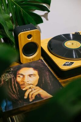 mam-dia-than-marley