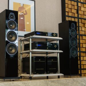 Sonus faber Lumina V