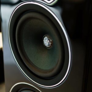 Sonus faber Lumina V