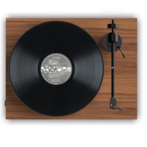 mam-than-pro-ject-e1-bt