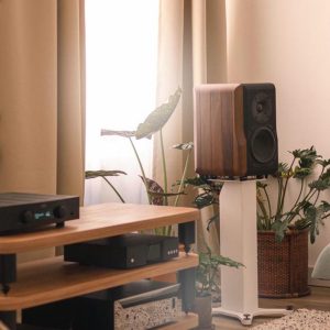 Chario Constellation Delphinus MK2