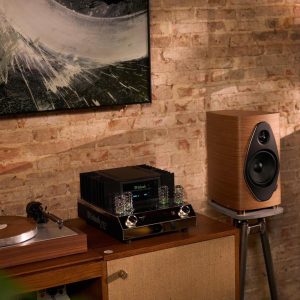 he-thong-mam-than-pro-ject-classic-evo-sonus-faber-mc-intosh