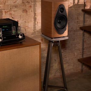 he-thong-mam-than-pro-ject-classic-evo-sonus-faber-mc-intosh