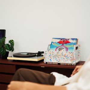 Hộp Đựng Đĩa Than Gadhouse Modular Record Duo - 2