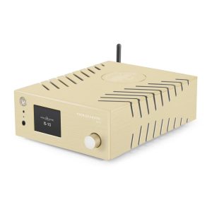 Ampli Gold Note IS-10