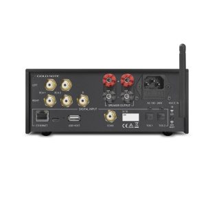 Ampli Gold Note IS-10