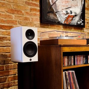 System-Audio-Legend 5.2 Silverback-DistrictM