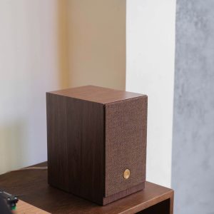 Audio-Pro-a28-walnut