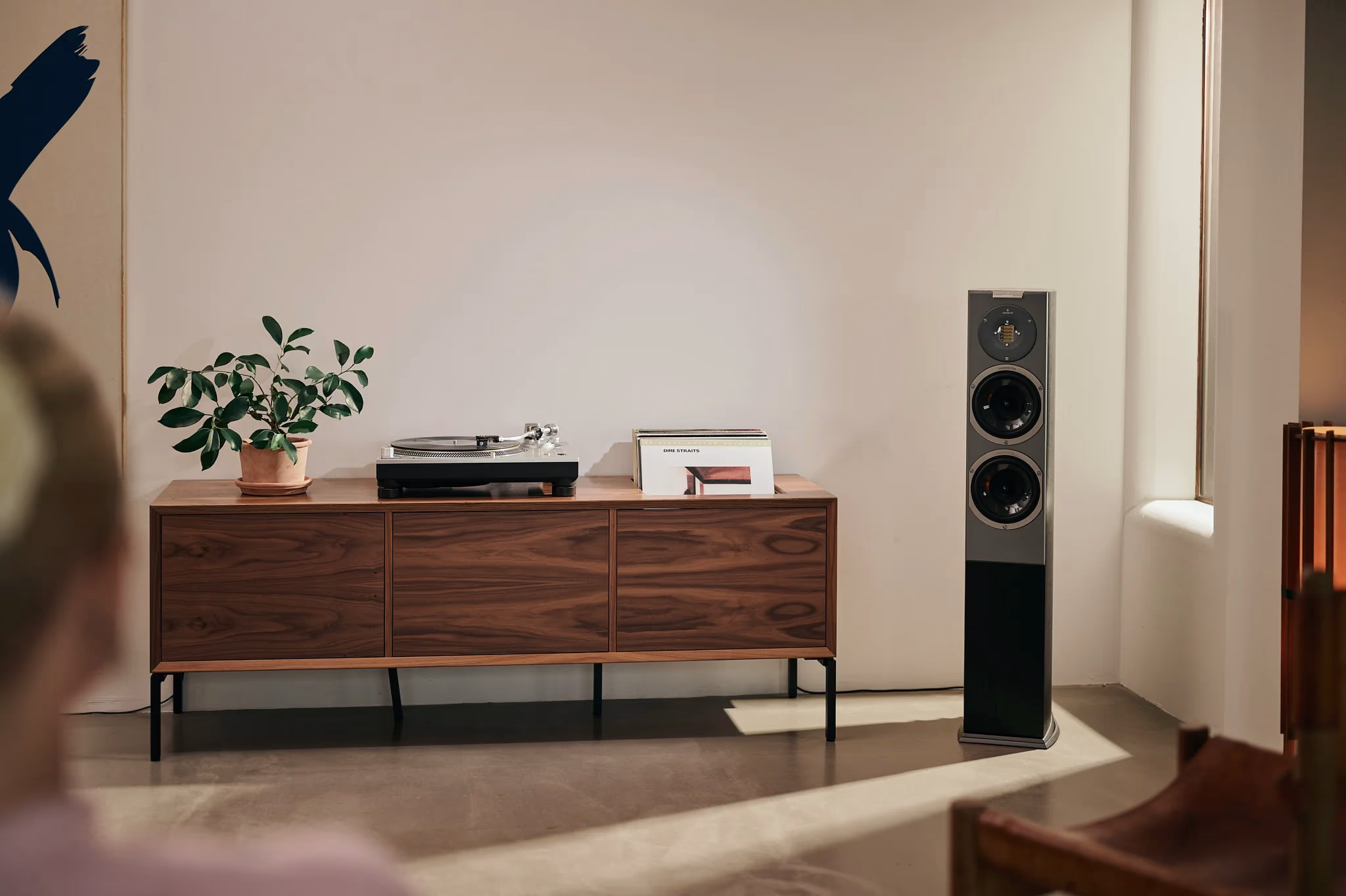 kim-dia-than-ortofon