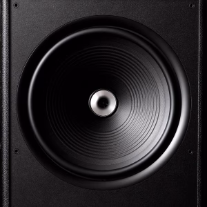 vestlyd-v15c-loa-dong-truc