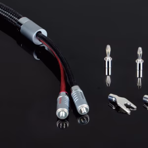 bridgee-xcs-cap-am-thanh-audiophile