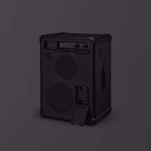 marshall-bromley-450