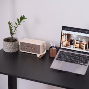 Loa Marshall portable, cây cảnh, hộp bút và laptop trên bàn làm việc