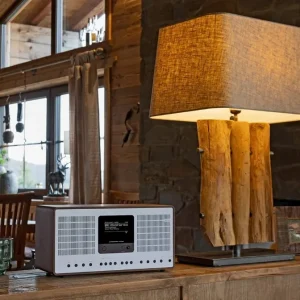 Mặt sau Revo SuperConnect Stereo: tấm kim loại bạc, cổng RCA, AUX, quang Toslink, nguồn và ổ khóa Kensington, vỏ gỗ walnut