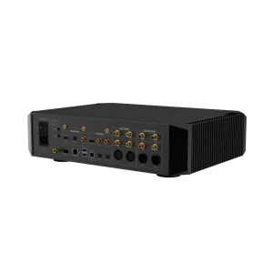 Mặt sau Eversolo DMP-A10 nhìn góc nghiêng, cổng digital in/out, analog in/out XLR RCA và tản nhiệt