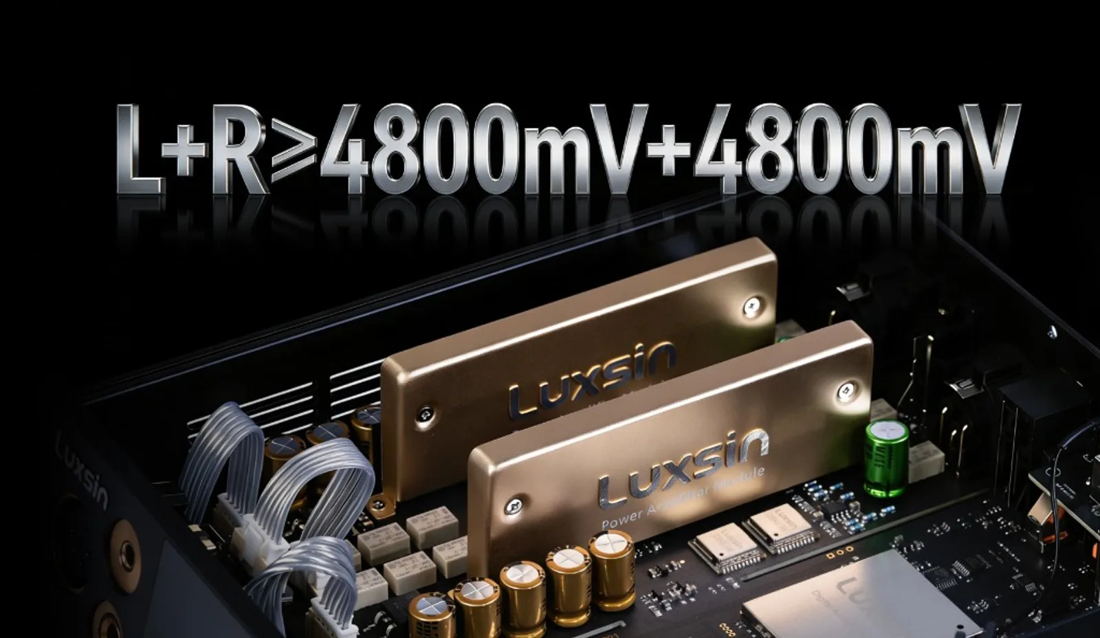 Cận cảnh hai module Power Amplifier mạ vàng Luxsin trên bo mạch, chữ L+R công suất và logo Luxsin