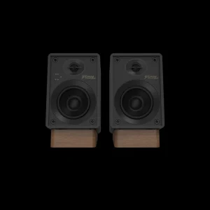 Cặp loa Onkyo Creator GX-10DB đen mặt trước không lưới, driver tweeter woofer và đế gỗ