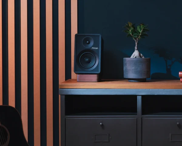 Onkyo Creator GX-30ARC