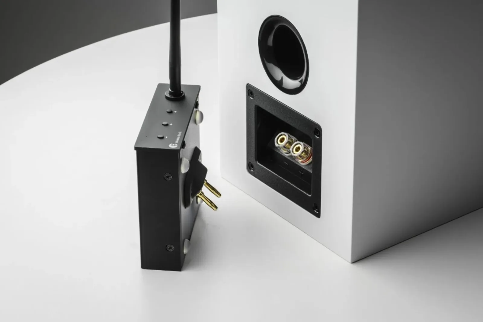 Pro-Ject Wireless Box E màu đen đứng thẳng cạnh loa bookshelf trắng: mặt sau loa có lỗ thông hơi tròn và bảng terminal binding post mạ vàng; hộp Wireless có anten và phích cắm kiểu châu Âu