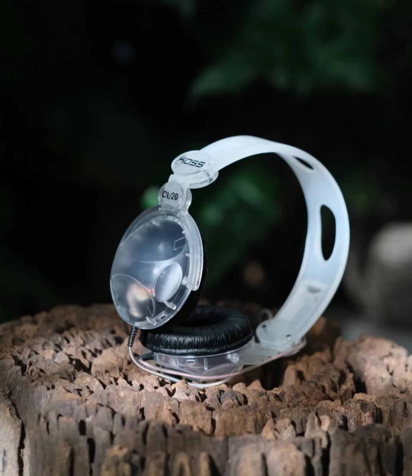 Tai nghe Koss CL/20 on-ear nhựa trong suốt, đệm đen, logo KOSS trên bản lề, đặt trên gốc cây