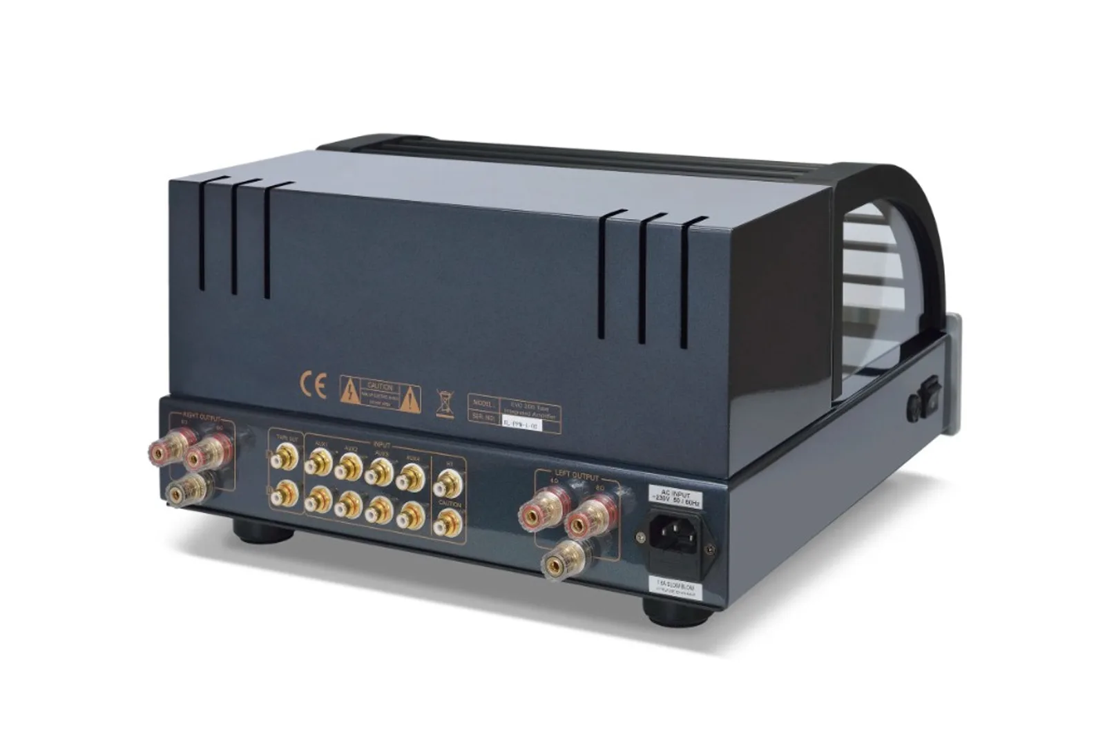 Góc nghiêng mặt sau PrimaLuna EVO 200 Integrated với binding post vàng và cổng RCA