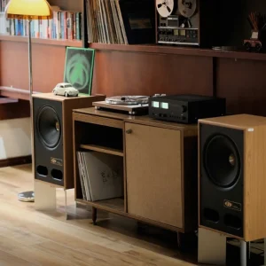 Set âm thanh cao cấp amply NAD 3030C đồng hồ VU và cặp loa coaxial Vestlyd V12C trong không gian vintage