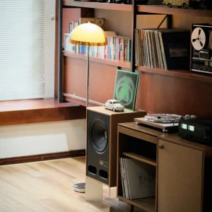 Hệ thống amply NAD 3030C và loa Vestlyd V12C trong phòng khách phong cách retro với kệ sách và đèn đứng