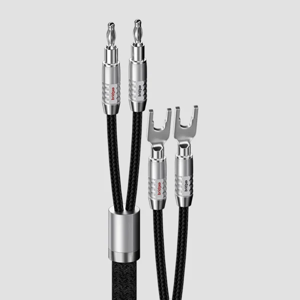 Bridgee XCS-SPK13x2