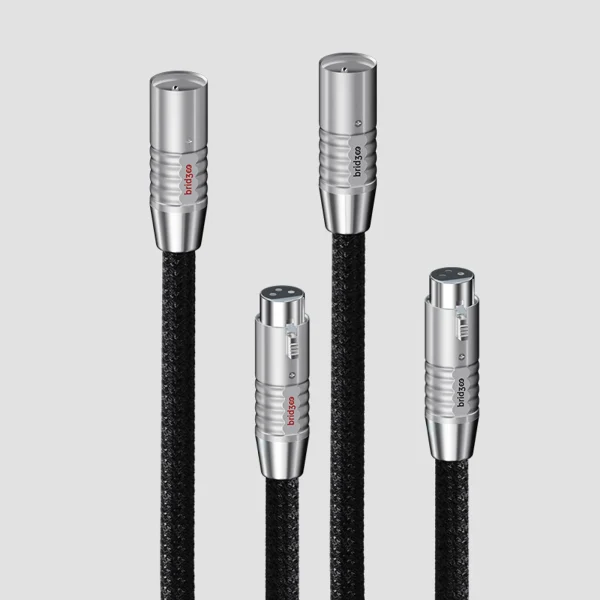 Bridgee XCS-XLR