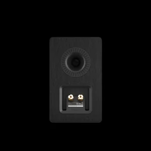 Mặt sau loa DALI KUPID Black Ash với cổng bass reflex và cọc loa