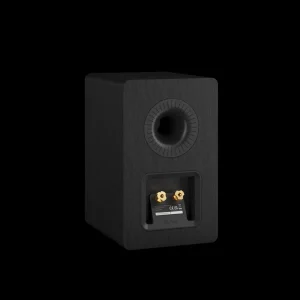 Mặt sau loa DALI KUPID Black Ash, terminal và cổng bass reflex