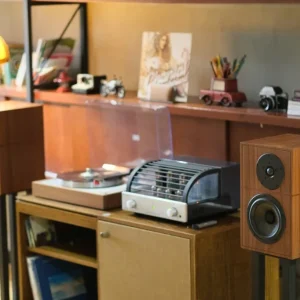 Loa Revival Atalante 3 va mam Pro-Ject Classic EVO trong khong gian audiophile