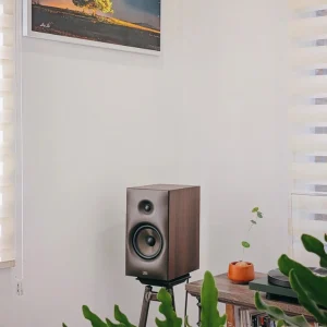Revival Sprint 3 cạnh Debut EVO 2 xanh lá và chậu cây nhỏ trên kệ