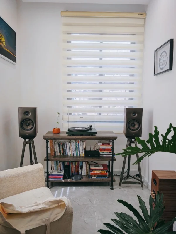 Hệ Thống Debut EVO 2 x Revival Sprint 3 - Vinyl