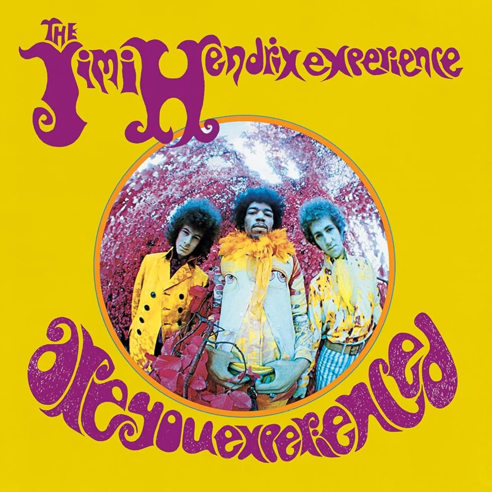 Bìa album The Jimi Hendrix Experience Are You Experienced 1967