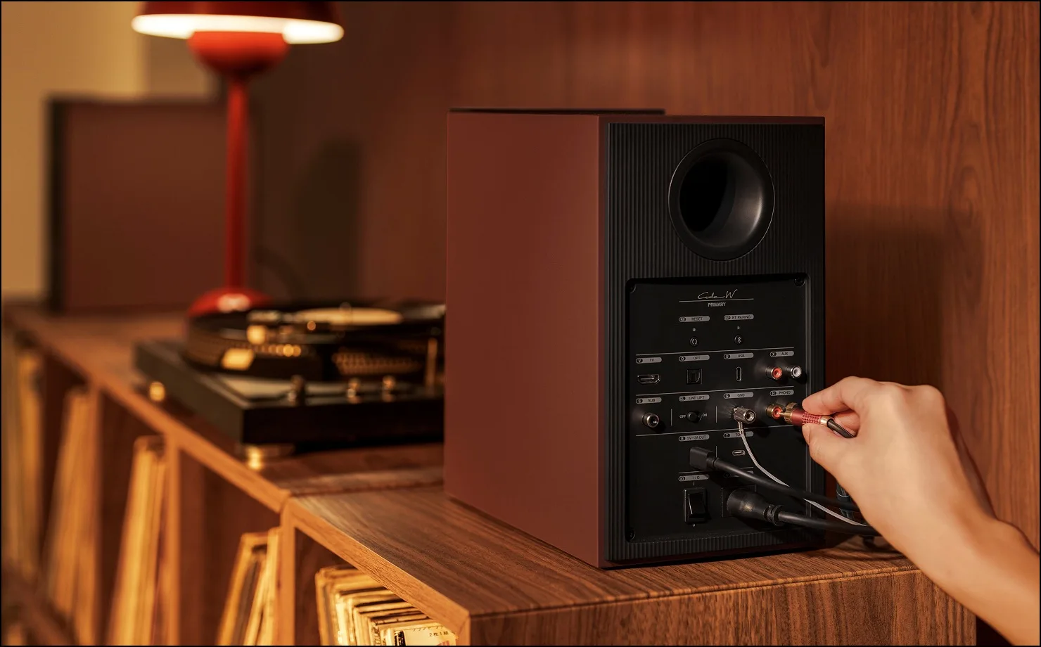 Mặt sau loa chính KEF Coda W: cổng PHONO và AUX