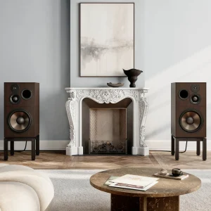 Revival Audio ATALANTE 7 Évo veneer Ebony nhìn nghiêng với chân isolation