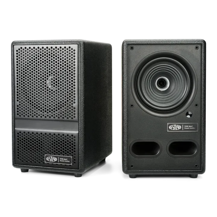 Mặt trước loa Vestlyd M6C Active driver đồng trục