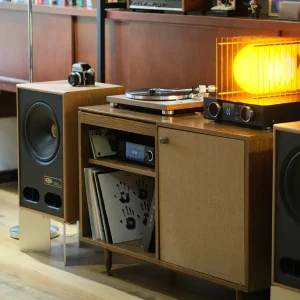 Chi tiết loa Vestlyd V12C và setup hi-fi District M