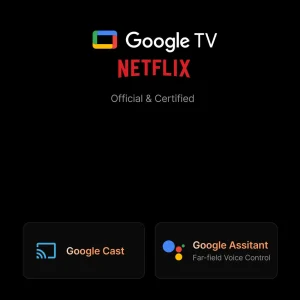 Formovie Theater Premium Google TV Netflix native
