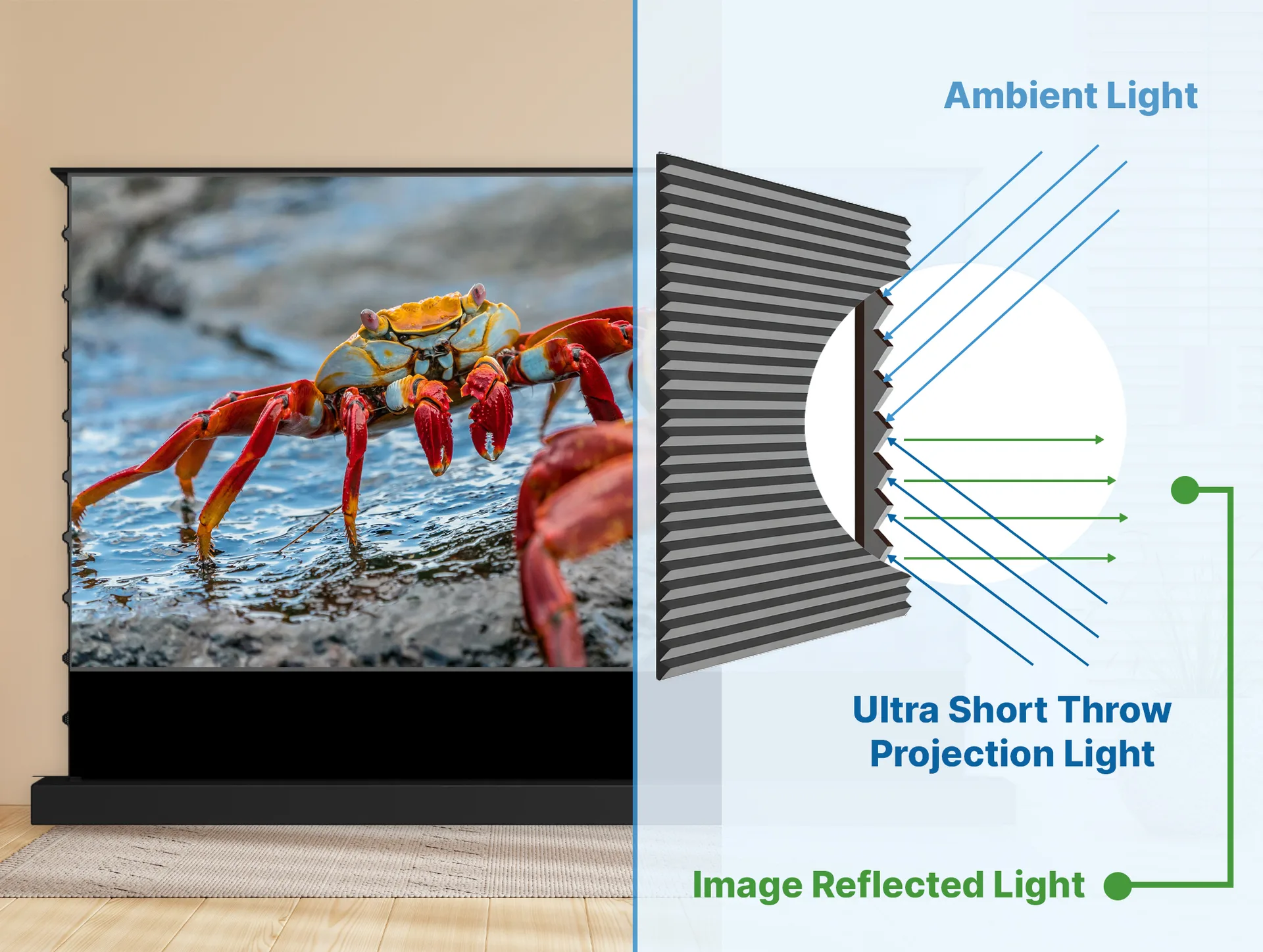 Màn hình máy chiếu siêu gần UST ALR lenticular và sơ đồ chống sáng xung quanh