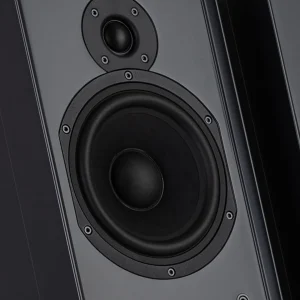 Cận tweeter dome lụa 27mm và woofer NS+ 17cm trên baffle decoupled Talisman-R
