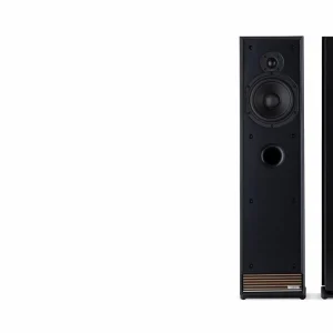 Talisman-R mặt trước driver và mặt sau cọc loa bi-wire mạ vàng