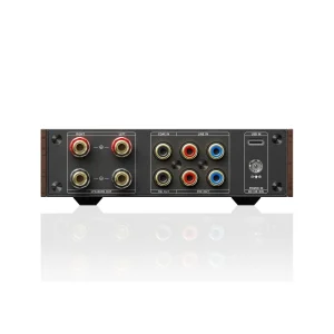 Mặt sau FiiO LEVEL 1: loa banana, LINE IN, PRE OUT, SUB, coax, USB-C District M