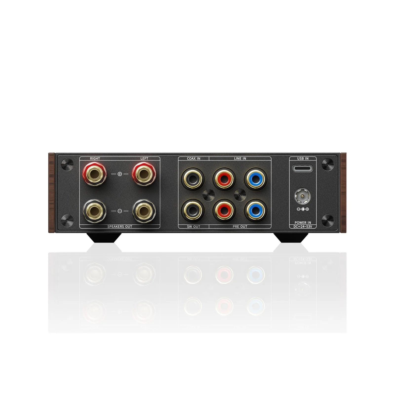 Mặt sau FiiO LEVEL 1: loa banana, LINE IN, PRE OUT, SUB, coax, USB-C District M
