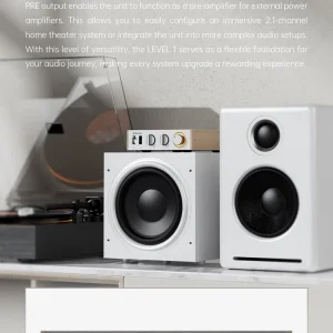 FiiO LEVEL 1 ghép subwoofer và PRE OUT District M