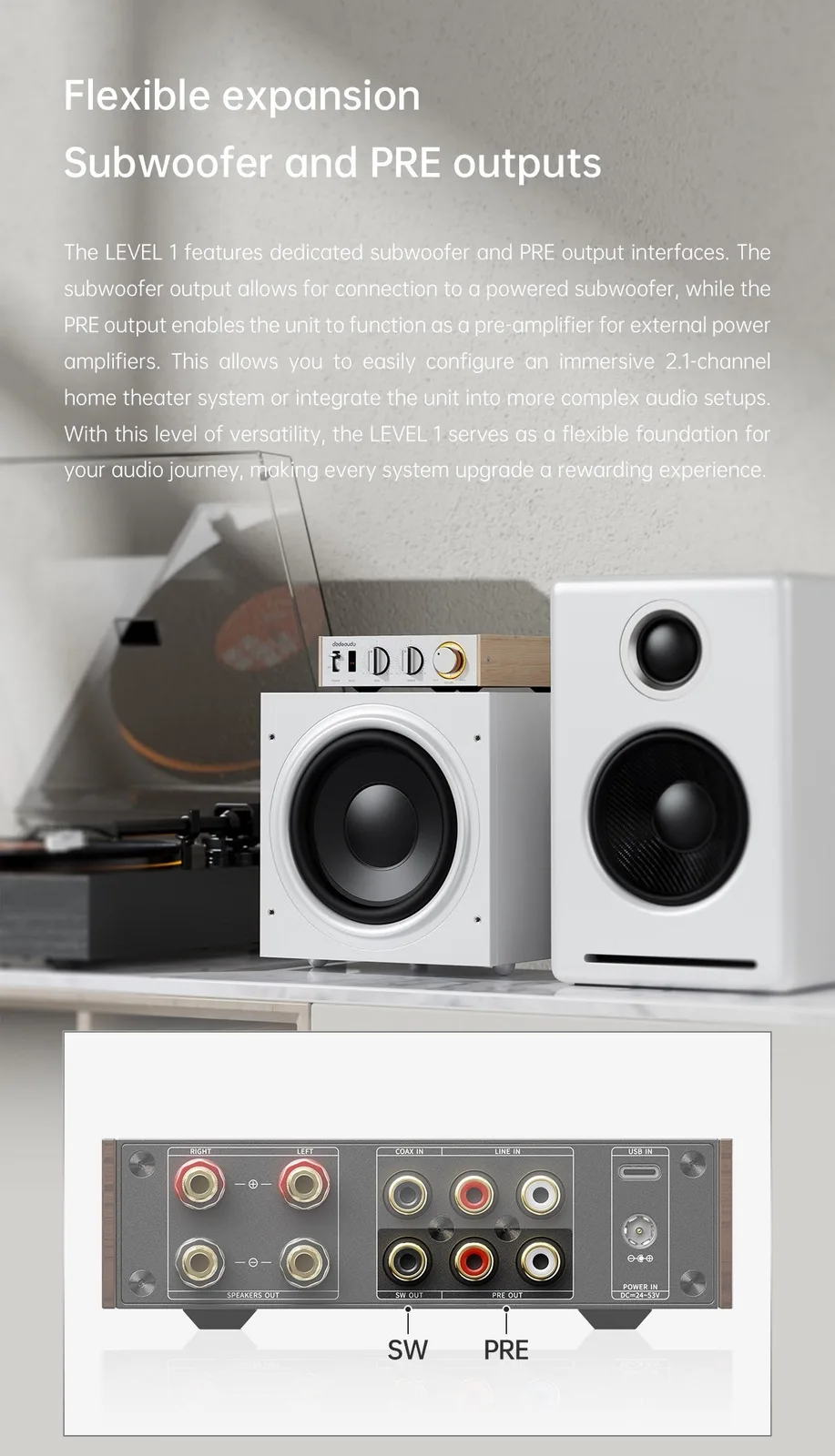 FiiO LEVEL 1 ghép subwoofer và PRE OUT District M